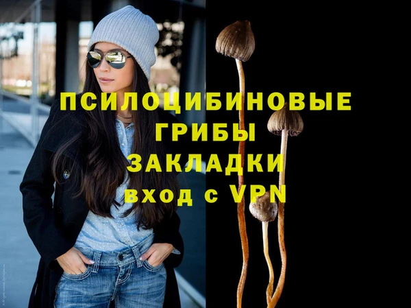 крисы Алексеевка